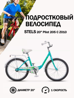 Велосипед Stels 20" Pilot 205 C Z010 (LU101254)
