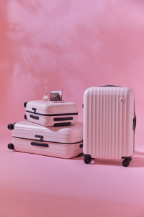 Чемодан NINETYGO Elbe Luggage  28" розовый