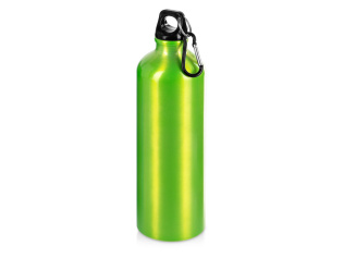 Бутылка Hip M с карабином, 770 мл, зеленый