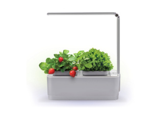 Компактный смарт-сад iGarden LED с подсветкой (белый, серый)
