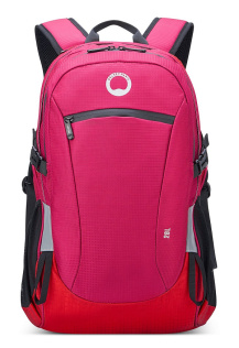 Рюкзак для ноутбука DELSEY NOMADE 32 x 49 x 18.5 см розовый