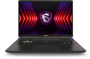 Ноутбук игровой MSI Vector 16 HX A14VHG-831XRU 16", IPS, Intel Core i9 14900HX 2.2ГГц, 24-ядерный, 16ГБ DDR5, 1ТБ SSD,  NVIDIA GeForce  RTX 4080 для ноутбуков - 12 ГБ, FreeDOS, серый [9s7-15m142-831]