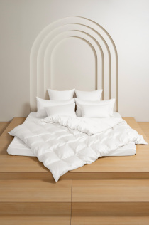 28160200 Простыня на резинке Arctic White Brilliant Grass 160х200х40