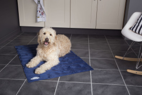 SCRUFFS Матрас для животных охлаждающий "Cool Mat", голубой, 120х75 см (Великобритания)