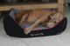 SCRUFFS Лежак для животных с бортиками "Thermal Box Bed", черный, 60х50х19см (Великобритания)