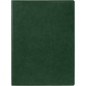 Ежедневник в суперобложке Brave Book, недатированный, зеленый