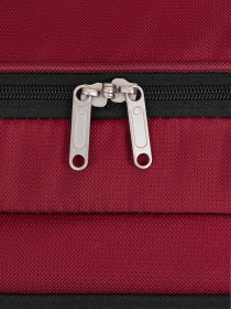 Сумка дорожная на колесах DELSEY PIN UP 6 00343021004
