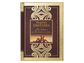 Набор книг Шкаф мудрости (коричневый, прозрачный, черный, золотистый)