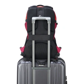Рюкзак для ноутбука DELSEY NOMADE 32 x 49 x 18.5 см розовый