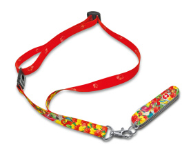 Набор для детей VICTORINOX "Попугай": перочинный нож 84 мм, шнурок на шею, книга-раскраска, красный