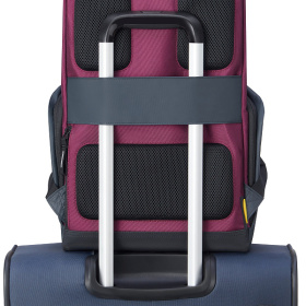 Рюкзак для ноутбука DELSEY SECURFLAP 31.5 x 45,5 x 14.5 см бордовый
