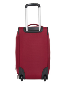 Сумка дорожная на колесах DELSEY PIN UP 6 00343021004