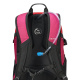 Рюкзак для ноутбука DELSEY NOMADE 32 x 49 x 18.5 см розовый