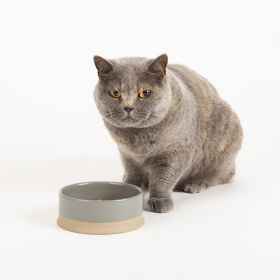SCRUFFS Миска керамическая для собак и кошек "Scandi", серая, 14х14х5см, 400мл (Великобритания)