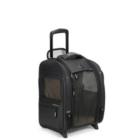 Рюкзак для перевозки животных 00328917000 DELSEY RASPAIL 39 x 48 x 30 см Черный