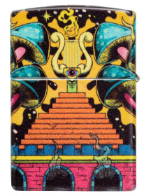 Зажигалка ZIPPO Skull Design с покрытием Glow In The Dark Green,латунь/сталь,разноцветная38x13x57 мм