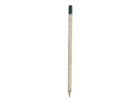 Растущий карандаш с семенами гвоздики (белый, светло-серый, зеленый)