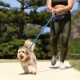 DOOG Сумка на пояс "Walkie Belt", синяя в белый горох, 42х10х1.5см (Австралия)