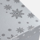 Коробка Wintry, серебристая