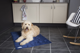 SCRUFFS Матрас для животных охлаждающий "Cool Mat", голубой, 120х75 см (Великобритания)