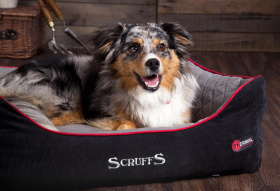 SCRUFFS Лежак для животных с бортиками "Thermal Box Bed", черный, 60х50х19см (Великобритания)