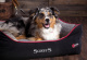 SCRUFFS Лежак для животных с бортиками "Thermal Box Bed", черный, 60х50х19см (Великобритания)