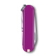 Нож-брелок VICTORINOX Classic SD Colors "Tasty Grape", 58 мм, 7 функций, фиолетовый