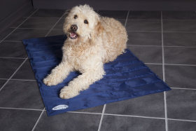 SCRUFFS Матрас для животных охлаждающий "Cool Mat", голубой, 120х75 см (Великобритания)