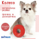 SkyRus Игрушка для собак резиновая "Колесо", красная, 11.5х11.5х4.4см