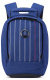 Рюкзак DELSEY SECURBAN 21.5 x 30,5 x 14.5 см Синий принт