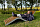 244045 Сапожки-носочки пуховые Comfort Socks Travel Grass Ink 40-45 р.