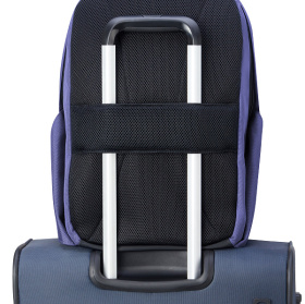 Рюкзак для ноутбука DELSEY SECURBAN 29.5 x 45,5 x 16.5 см Синий принт